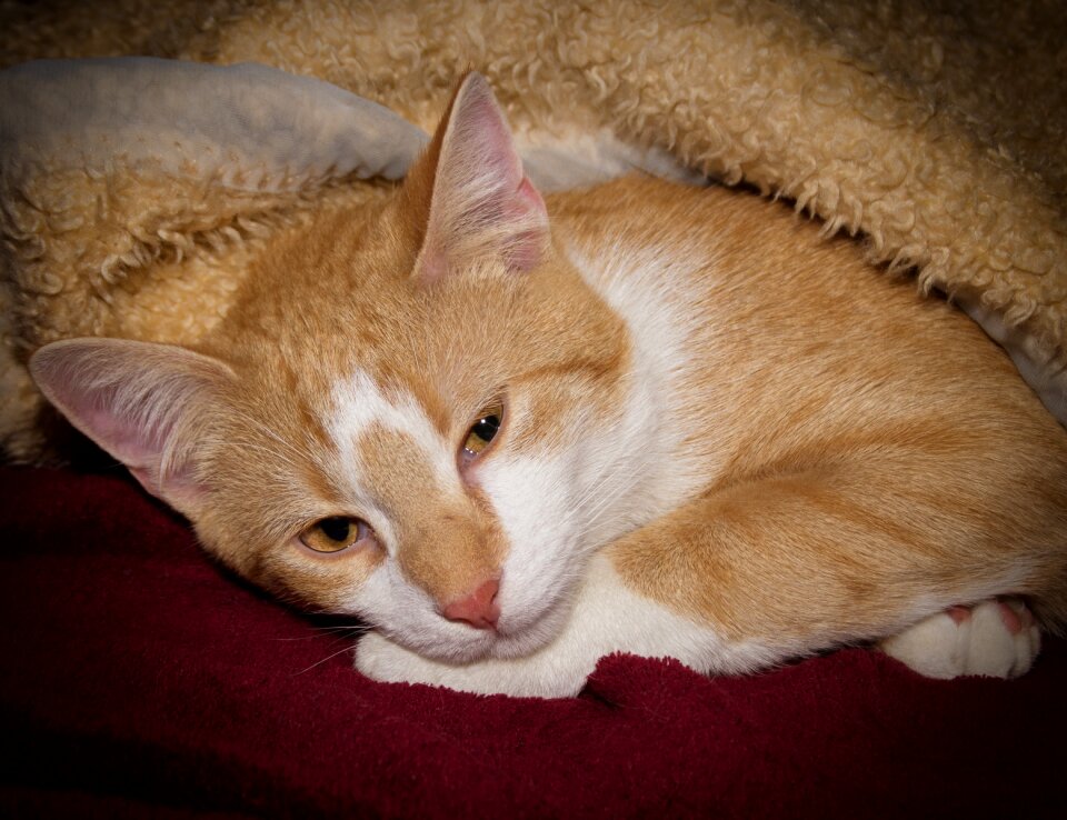 Concerns blanket warm