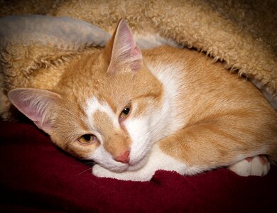 Concerns blanket warm
