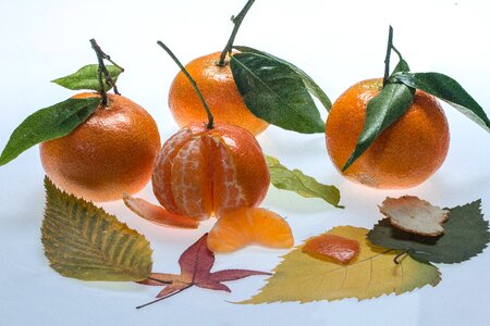 Food sound leaves