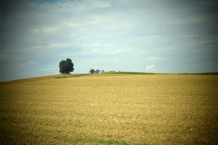 Hill wide summer photo