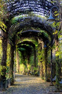 Plant promenade garden