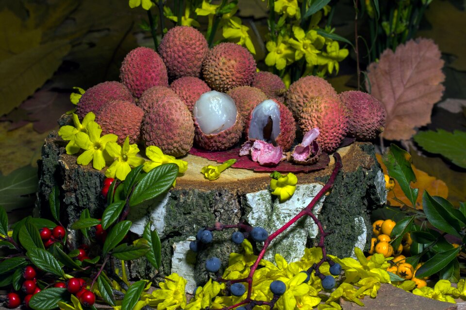 Berries flowers still life