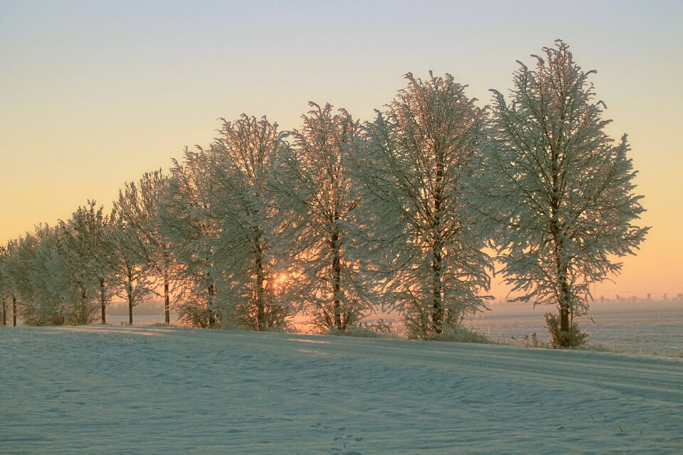 Cold winter impressions sunrise