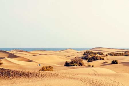 Maspalomas canary islands gran canaria photo