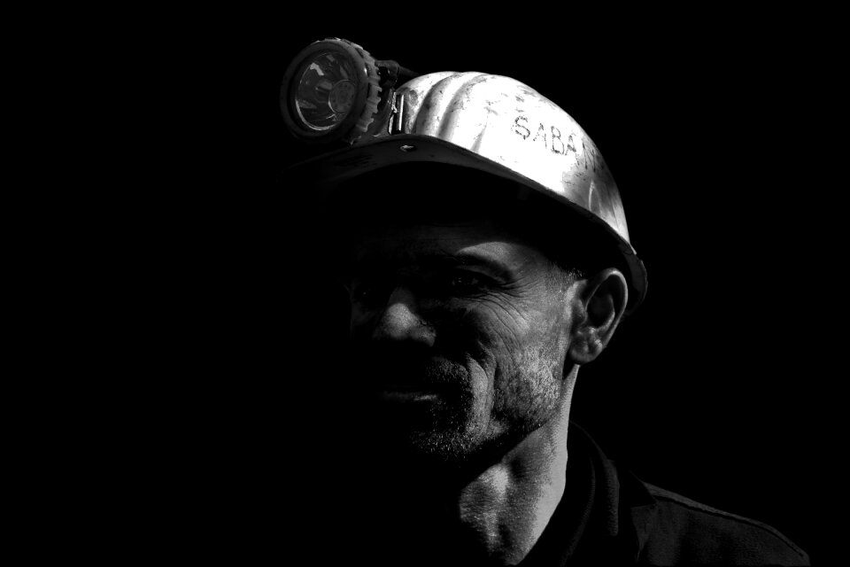 White portrait human