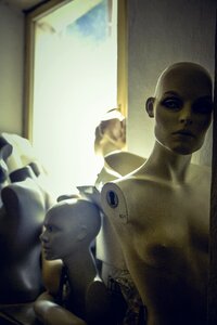 Decoration fashion window