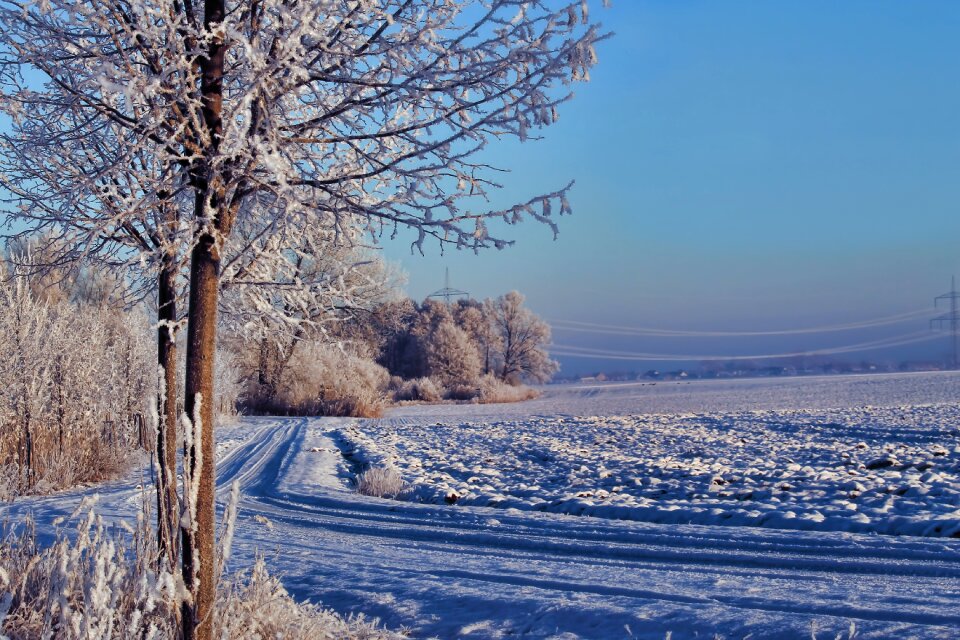 Snow cold ice fog photo