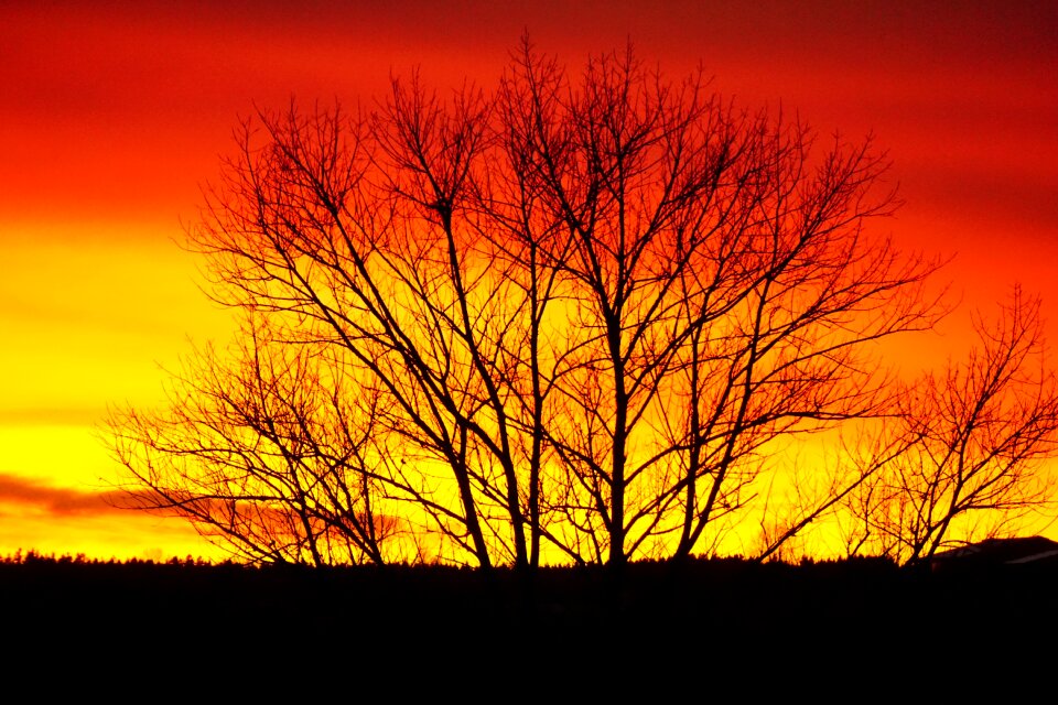 Westerwald orange afterglow