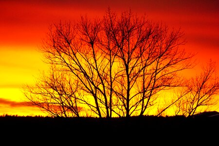 Westerwald orange afterglow photo