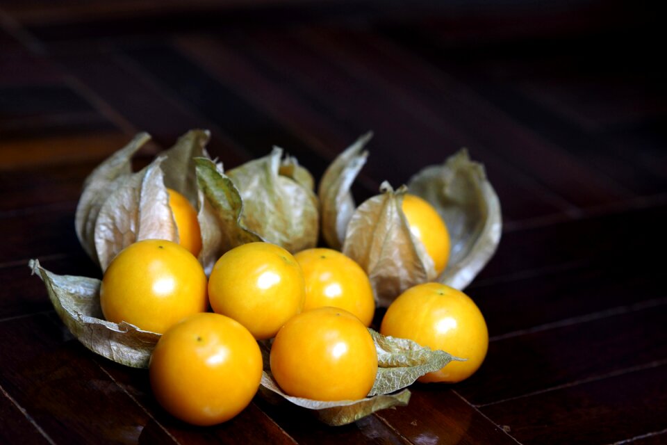 Orange berry nature