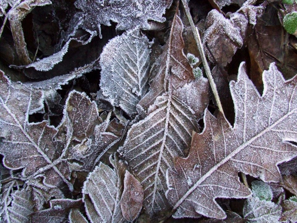 Autumn holidays rime