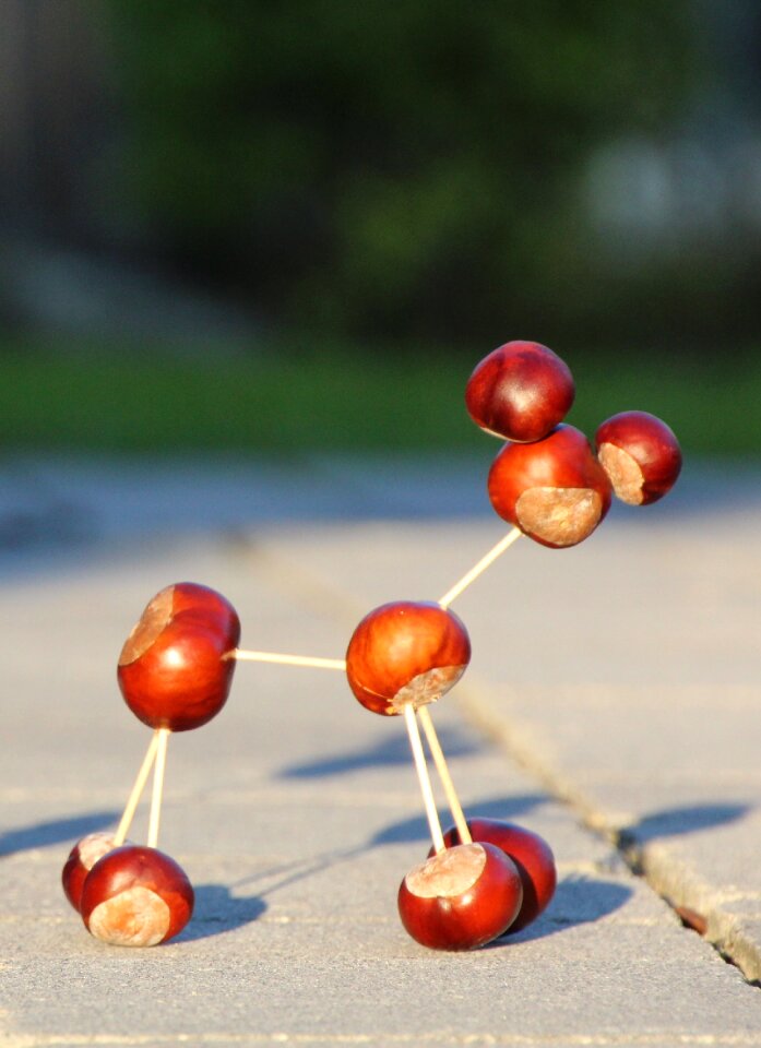 Chestnut animal chestnut toothpick