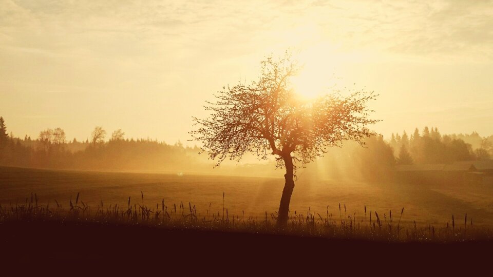 Nature morning landscape photo