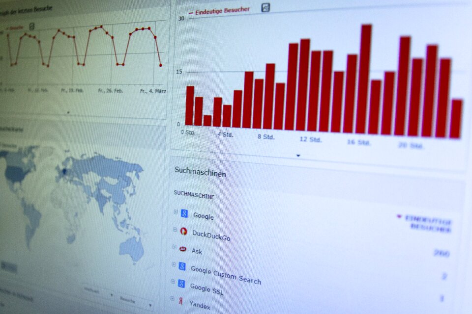 Visitors graphic analytical