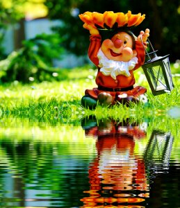 Water bank mirroring