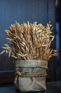 Harvest food seed