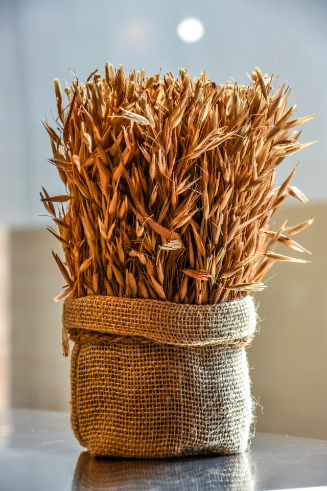 Harvest food seed