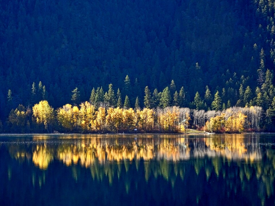 Shoreline lake autumn
