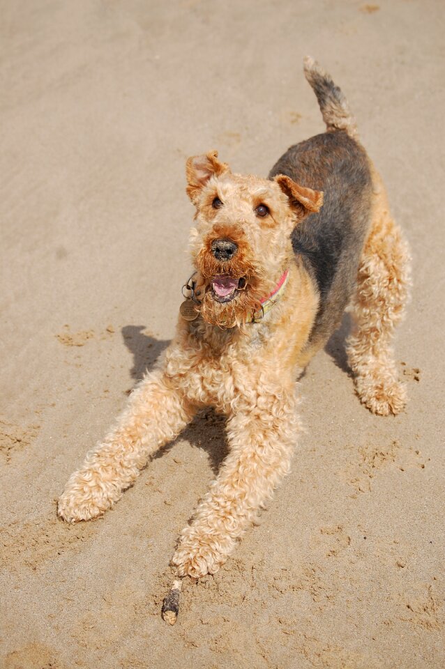 Happy beach play