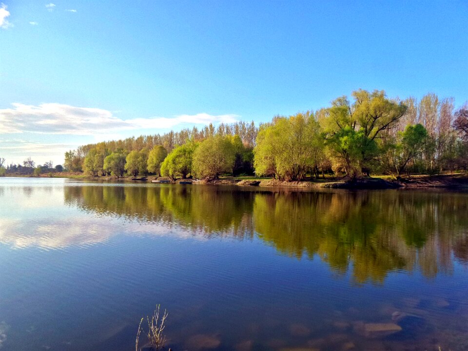 Backwater spring avenue