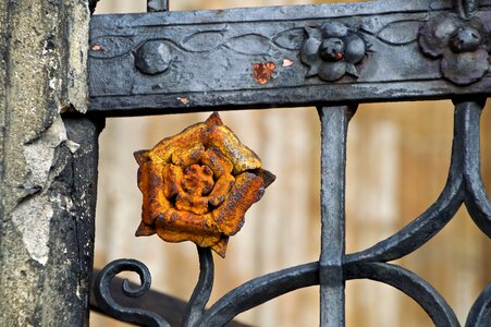 Iron artist blacksmith window photo