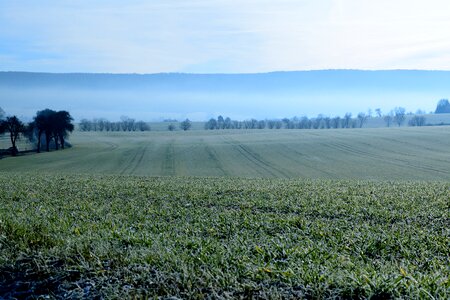 Arable frost cold