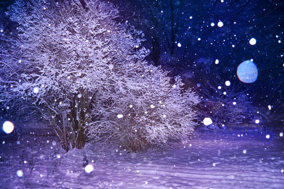 Winter white frost