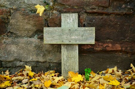 Cross death autumn