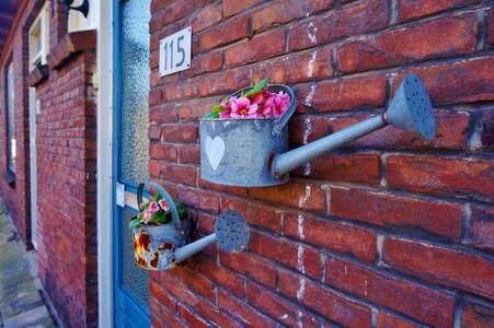 Zaandam flower watering photo