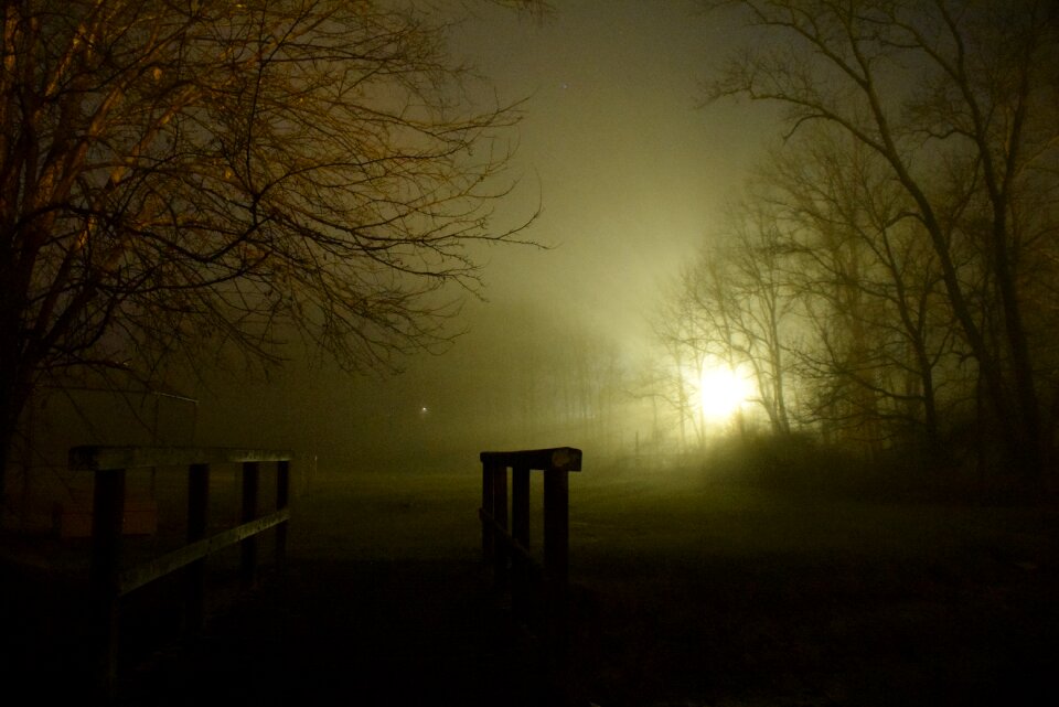 Evening darkness park