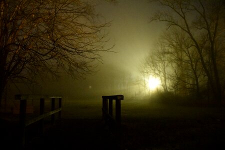 Evening darkness park photo