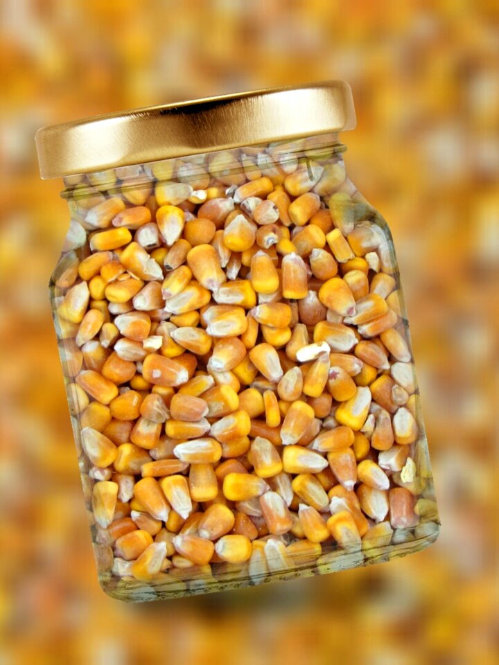 Glass lid corn kernels