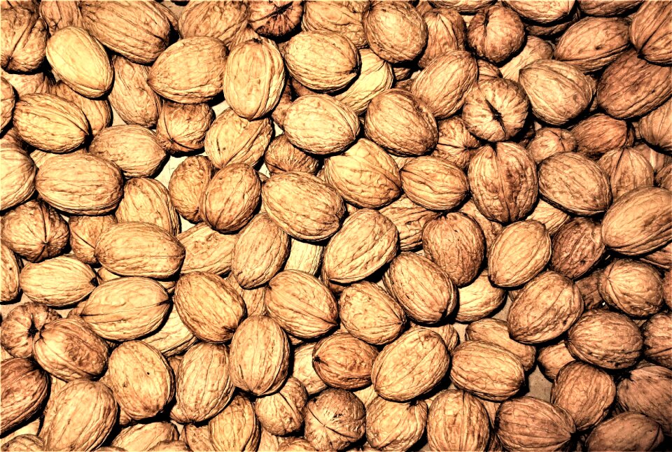 Nuts fruit structure