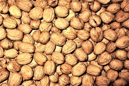 Nuts fruit structure