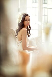 Bride veil white dress