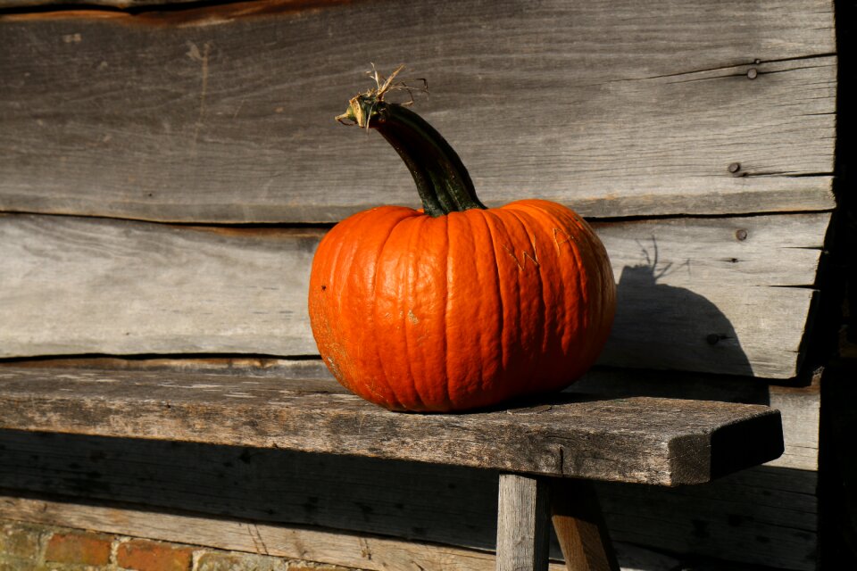 Pumpkin orange bank