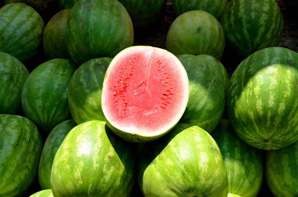Melon food nutrition
