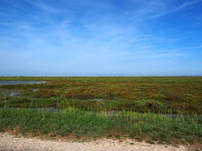 Bogs saltwater-lagoon lagoon