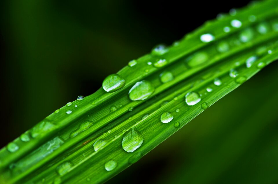 Wet nature liquid