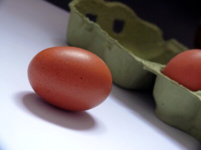 Food egg box brown eggs