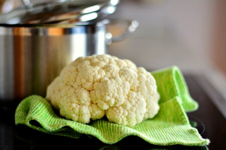 Cabbage varieties cabbage cook