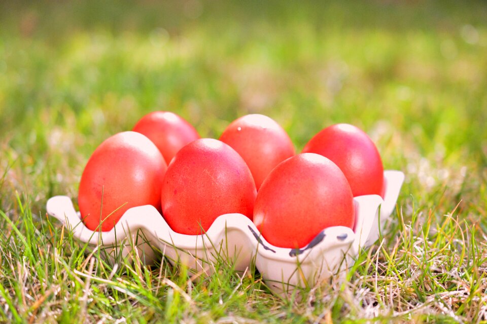 Spring color eggs red