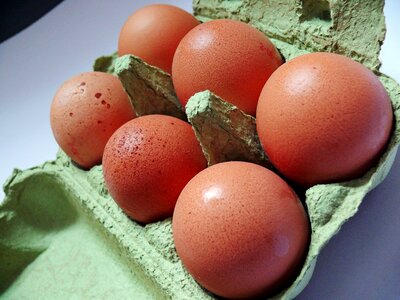 Food egg box brown eggs