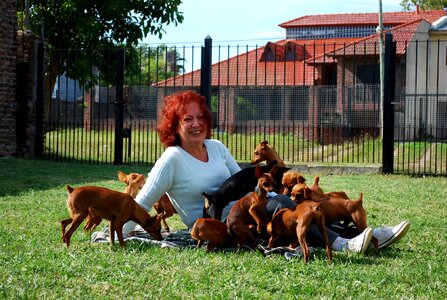 The lupe hatchery dog