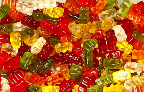 Nibble colorful sugar