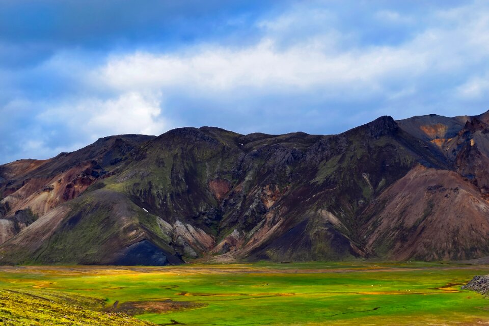 Scenic meadow nature
