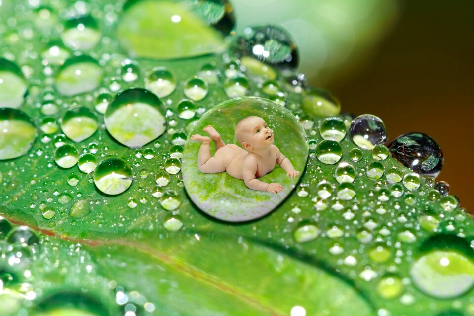 Leaf green macro