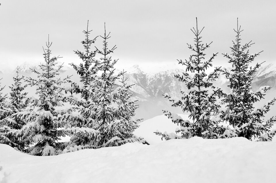 Winter landscape mountain ski photo