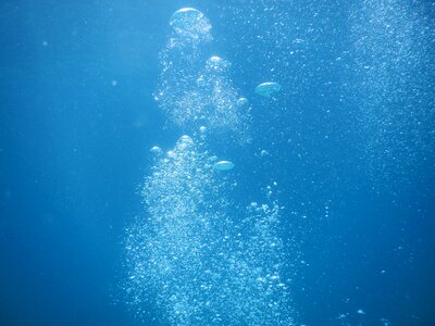 Diving underwater sea photo