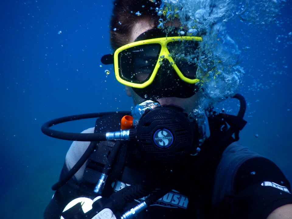 Divers underwater swim